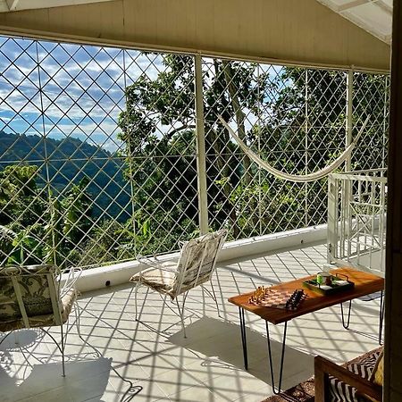 Adella'S Blue Mountain Coffee Farmstay Кингстон Экстерьер фото