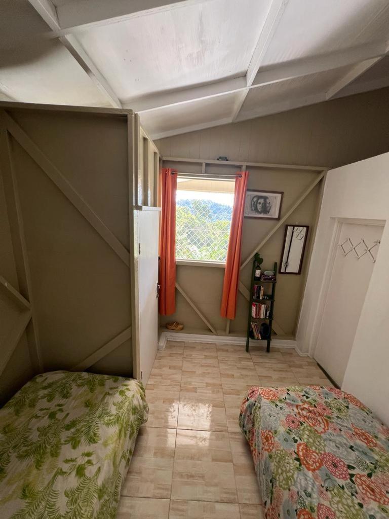 Adella'S Blue Mountain Coffee Farmstay Кингстон Экстерьер фото