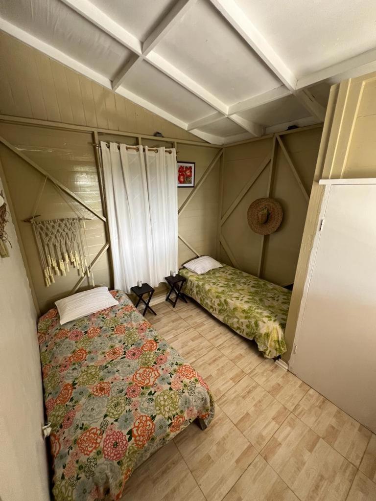 Adella'S Blue Mountain Coffee Farmstay Кингстон Экстерьер фото