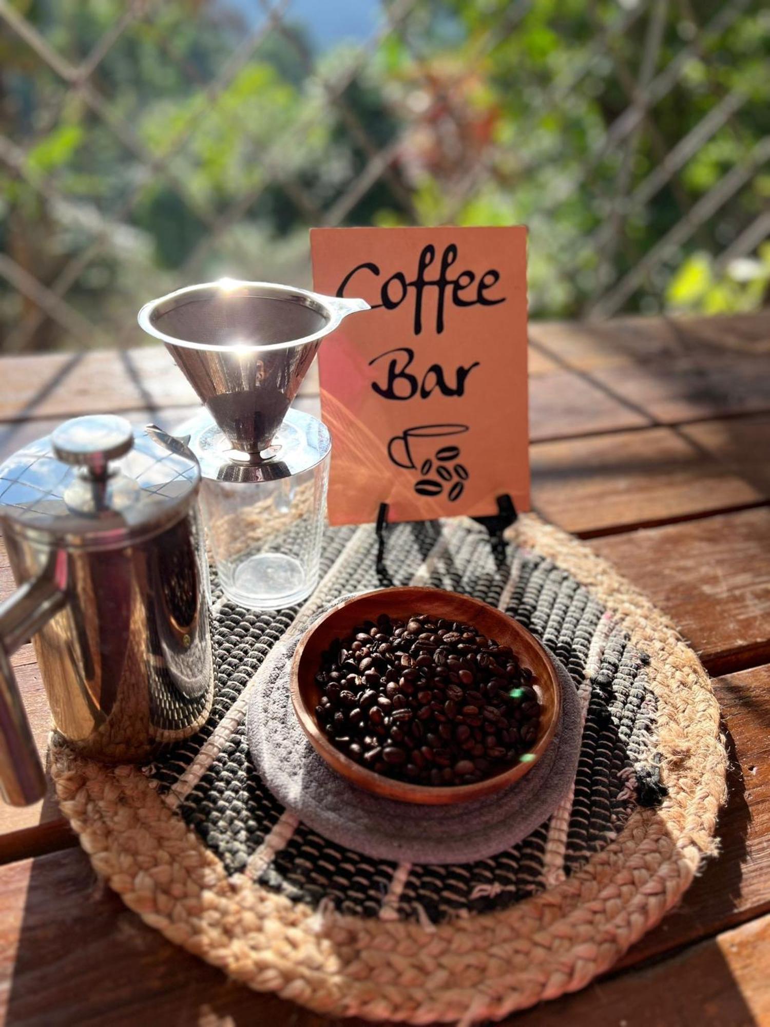 Adella'S Blue Mountain Coffee Farmstay Кингстон Экстерьер фото