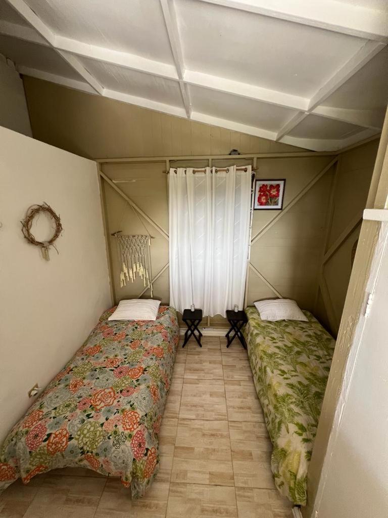 Adella'S Blue Mountain Coffee Farmstay Кингстон Экстерьер фото