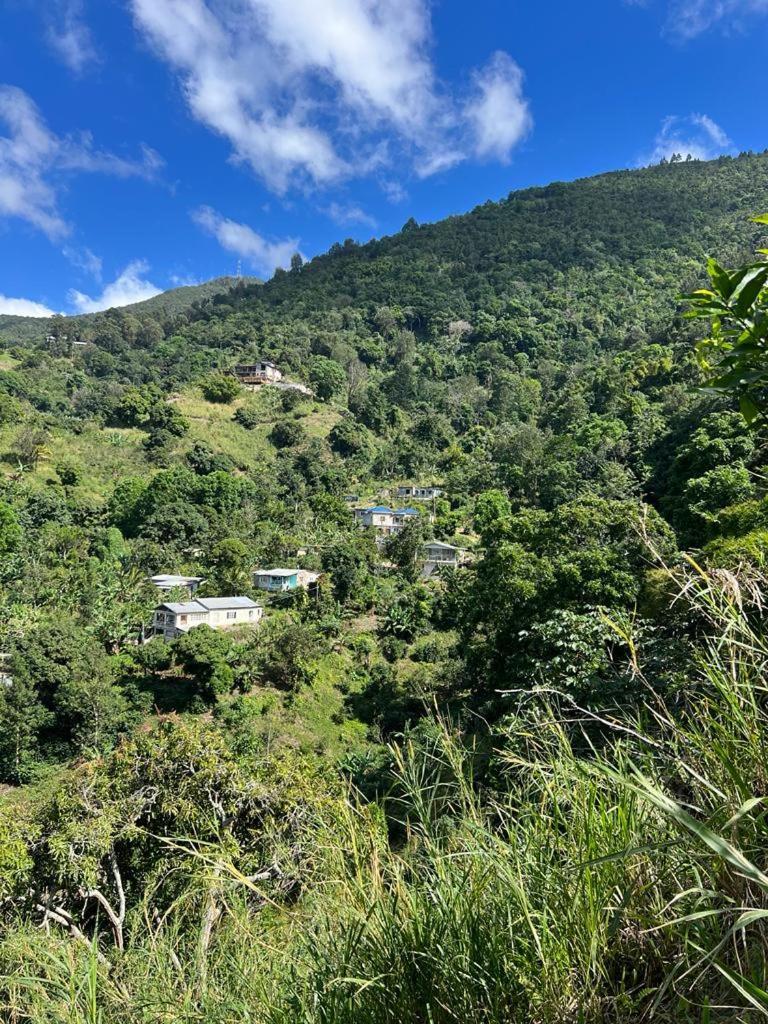 Adella'S Blue Mountain Coffee Farmstay Кингстон Экстерьер фото