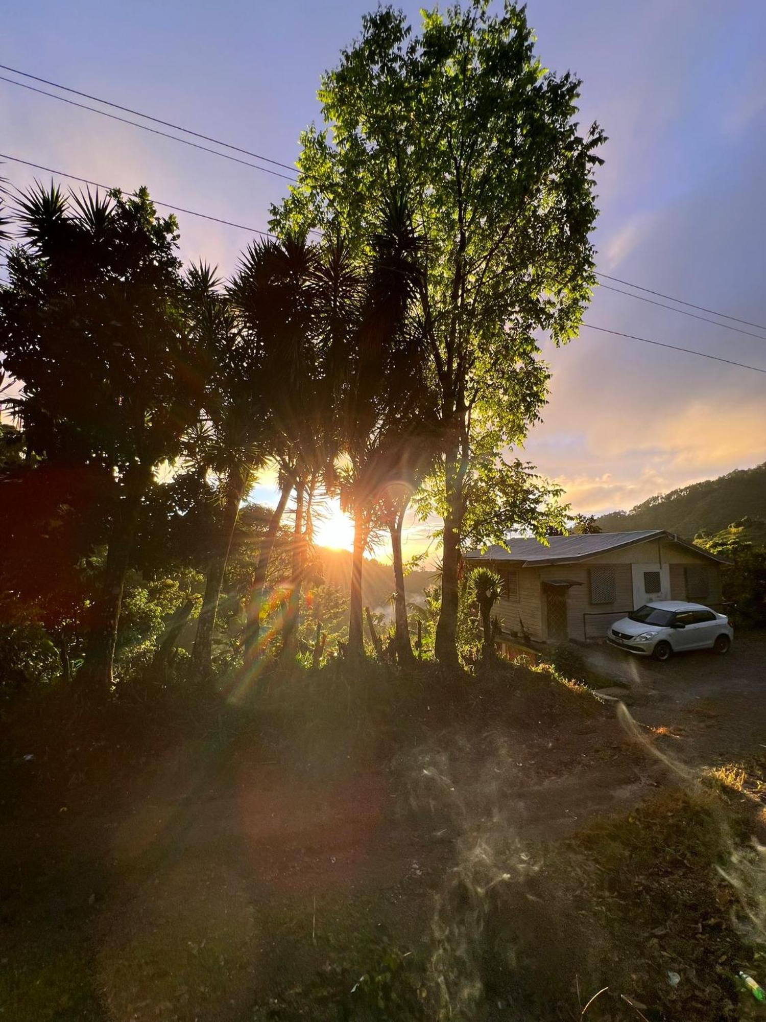 Adella'S Blue Mountain Coffee Farmstay Кингстон Экстерьер фото